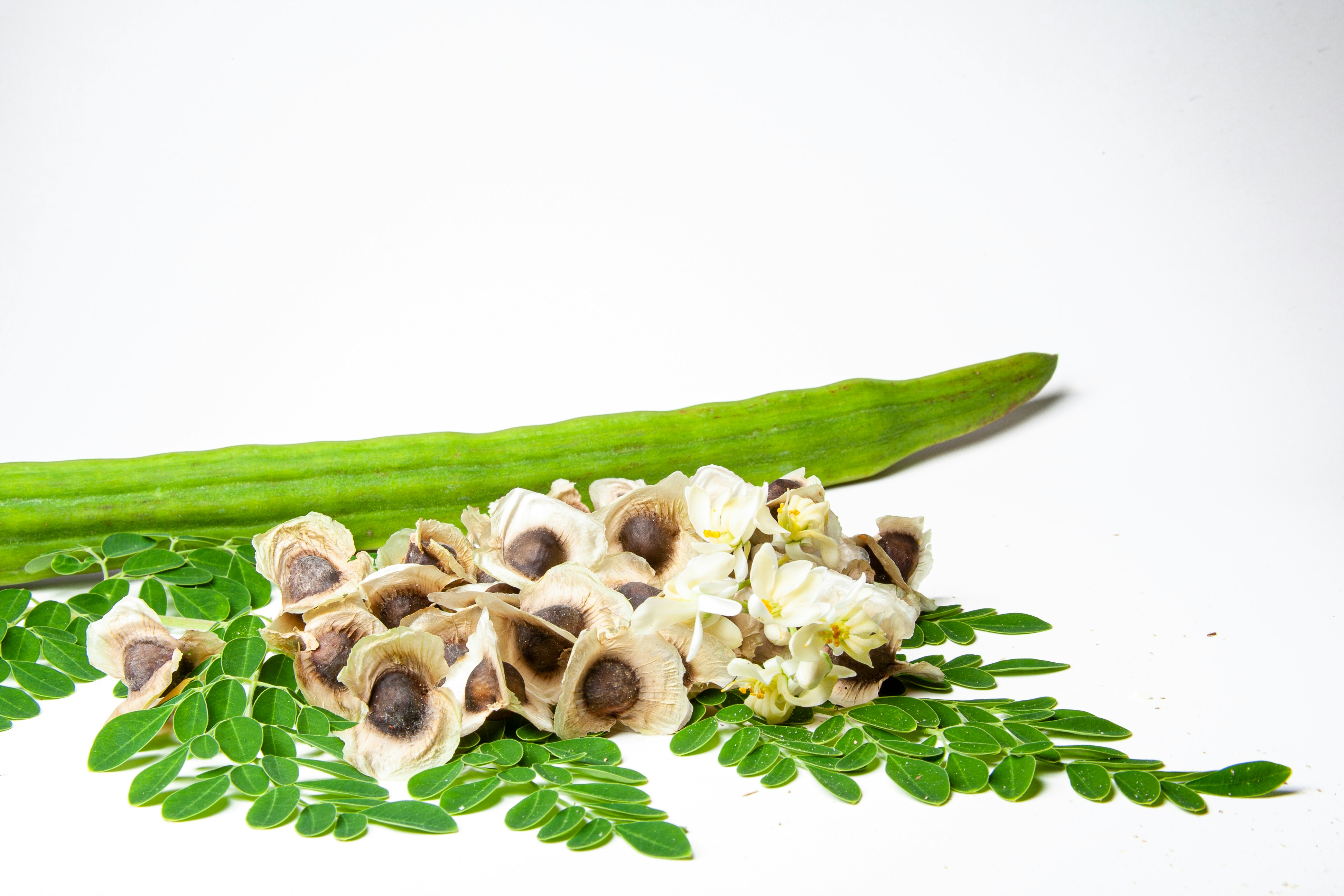 Moringa in natural/raw form